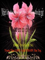 Bài giảng: Phương pháp xác định bốn đầu dây động cơ máy bơm nước