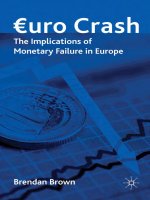 brown - euro crash; the implications of monetary failure in europe (2010)
