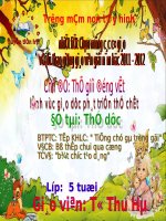 bo thap chui qua cong