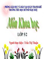 KHOA HOC : SU  SINH SAN CUA DONG VAT