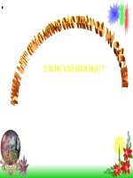 CAU TAO TRONG CUA THAN LAN