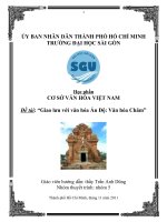 Cơ sở văn hóa VN (Văn hóa Chăm)