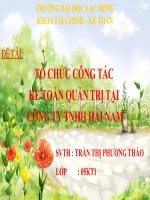 tổ chức công tác kế toán quản trị tại công ty THHH hải nam