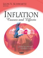 schwartz (ed.) - inflation; causes and effects (2009)