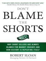 sloan - don't blame the shorts; why short sellers are always blamed for market crashes and how history is repeating itself (2010)