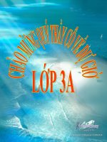 Luyện từ và câu 3 -tuần 20 - MRVT -Tổ quốc