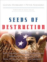 hubbard & navarro - seeds of destruction; why the path to economic ruin runs through washington, and how to reclaim american prosperity (2010)