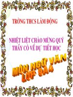 Tiet 131 Tong ket Van 9 van ban nhat dung