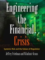 friedman & kraus - engineering the financial crisis; system risk and the failure of regulation (2011)