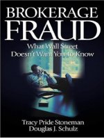 stoneman & schulz - brokerage fraud; what wall street doesn’t want you to know (2002)