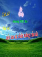 Bai 41 Cau tao va chuc nang cua da co chinh sua