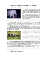 Giới thiệu hình ảnh 1 số động vật