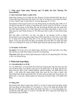 Phân tích tài chính Ngân hàng Thương mại Cổ phần Sài Gòn Thương Tín (Sacombank)