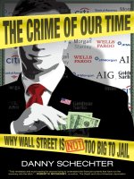 schechter - the crime of our time; why wall street is not too big to jail (2010)