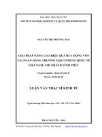Giải pháp nâng cao hiệu quả huy động vốn tại ngân hàng thương mại cổ phần quốc tế Việt Nam chi nhánh Vĩnh Phúc