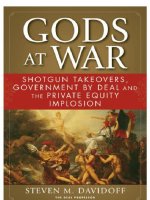 davidoff - gods at war; shotgun takeovers, government by deal and the private equity implosion (2009)
