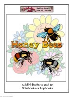 honey bee mini books