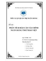 PHÂN TÍCH BÁO CÁO TÀI CHÍNH NGÂN HÀNG TMCP BẢO VIỆT