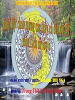 Những cuộc khởi nghĩa lớn trong các thế kỉ VII - IX