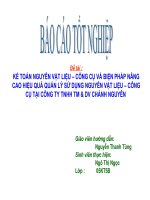 kế toán nguyên vật liệucông cụ và biện pháp nâng cao hiệu quả quản lý sử dụng nguyên vật liệucông cụ tại công ty THHH TMDV chánh nguyên