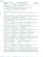Đề và đáp án thi thử ĐH 2010