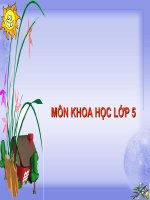 Bài 27: Gốm xây dựng: gạch, ngói