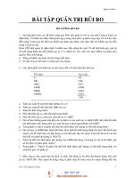 bài tập quản trị rủi rođo lường rủi ro