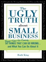 king - the ugly truth about small business; 50 things that can go wrong.. and what you can do about it (2005)