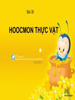 BÀI 42. SINH SẢN HỮU TÍNH Ở THỰC VẬT