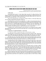 Những vấn đề cơ bản về môi trường vùng Đông Bắc VN