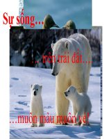 Nguồn gốc của sự sống