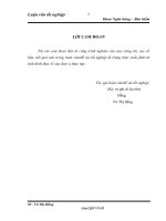 thực trạng và giải pháp phát triển hoạt động tín dụng đối với dnnvv tại bidv quảng ninh