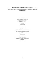 revolution and the accountant  the practise and profession of accounting in cambodia