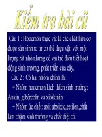 bai 36 phat trien o thuc vat co hoa