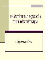 PHÂN TÍCH TÁC ĐỘNG CỦA THUẾ ĐẾN TIẾT KIỆM