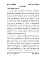 hoàn thiện công tác kế toán bán hàng và xác định kết quả bán hàng tại công ty tnhh sản xuất và thương mại phương anh