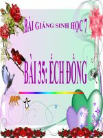 bài giảng sinh học 7 bài 35 ếch đồng