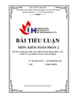 áp dụng thủ tục kiểm toán hàng hóa  tại công ty cổ phần cao su vinaconex