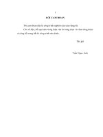 Nghiên cứu triển khai mô hình P2P cho dịch vụ IPTV trên nền IMS