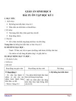 giáo án sinh học 8 bài 35 ôn tập học kỳ i