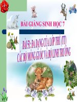 bài giảng sinh học 7 bài 51 đa dạng của lớp thú( tiếp theo) các bộ mống guốc và bộ linh trưởng