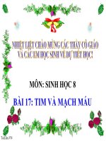 bài giảng sinh học 8 bài 17 tim và mạch máu