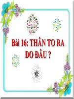 bài giảng sinh học 6 bài 16 thân to ra do đâu