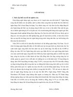 giải pháp quản lý rủi ro tín dụng trong hoạt động kinh doanh tại ngân hàng tmcp xăng dầu petrolimex (2)