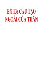 bài giảng sinh học 6 bài 13 cấu tạo ngoài của thân