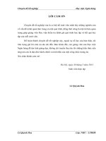 giải pháp phòng ngừa và hạn chế rủi ro tín dụng tại ngân hàng thương mại cổ phần ngoại thương việt nam