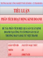 phân tích hiệu quả sản xuất kinh doanh tại công ty cổ phần sản xuất thương mai và đầu tư việt thanh