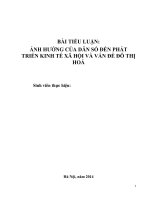 Tiểu luận: Ảnh hưởng của dân số đến phát triển kinh tế xã hội và vấn đề đô thị hóa