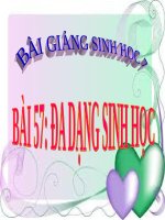 bài giảng sinh học 7 bài 57 đa dạng sinh học