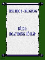 bài giảng sinh học 8 bài 21 hoạt động hô hấp